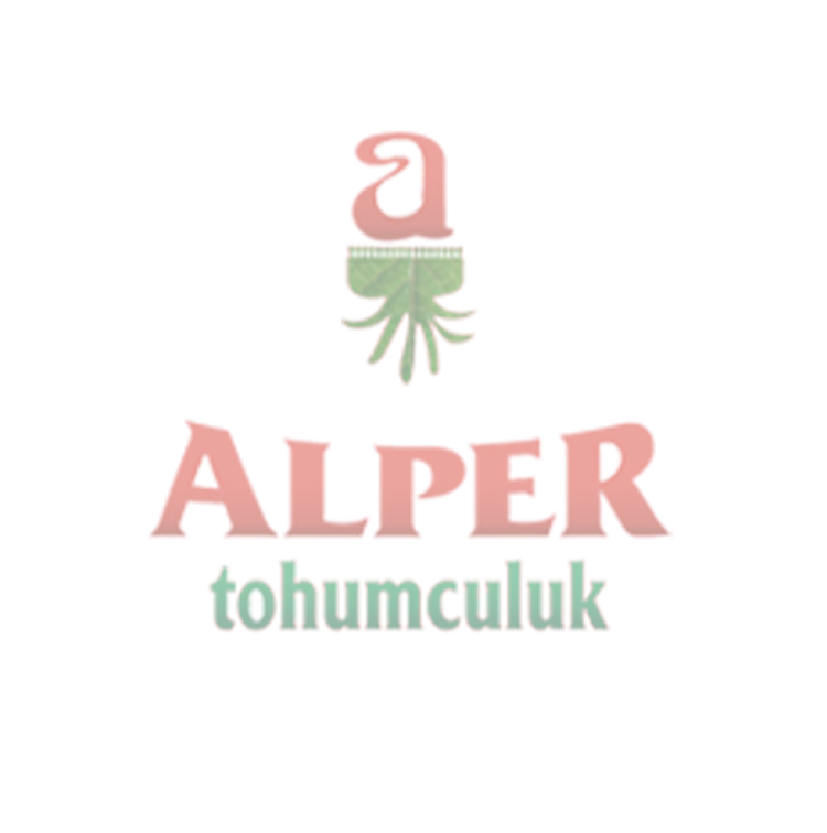  Mahmut Alper